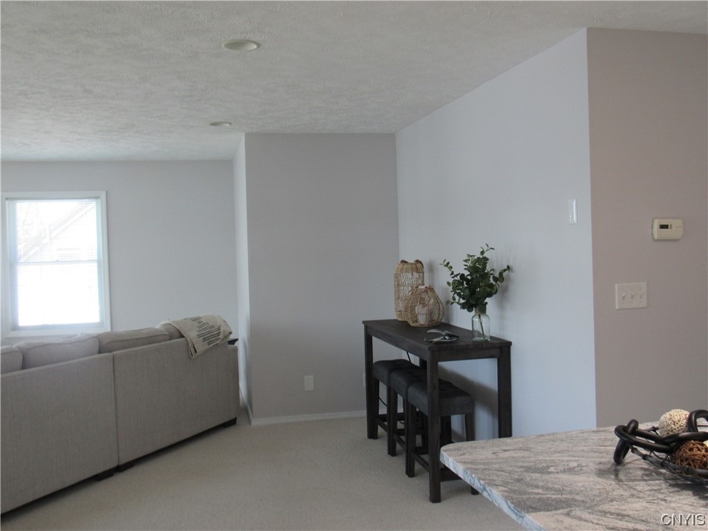 28 E. River Rd. Road - Photo 19