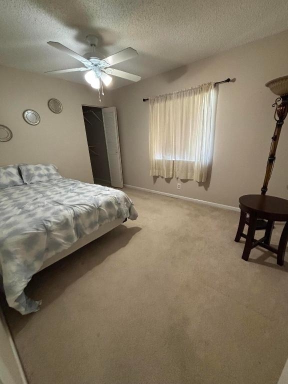 335 Knotty Pine Circle - Photo 9