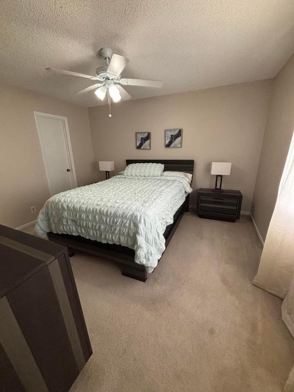335 Knotty Pine Circle - Photo 8