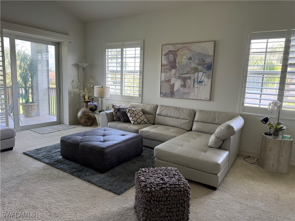 10181 Bellavista Circle - Photo 8