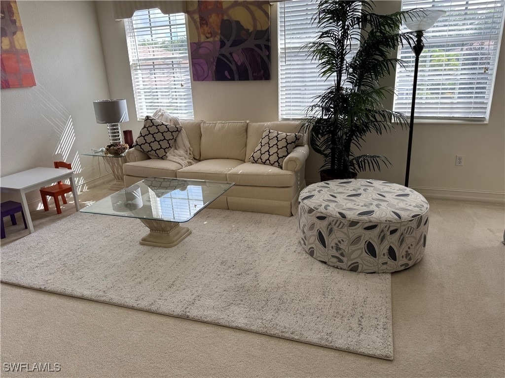 10181 Bellavista Circle - Photo 16