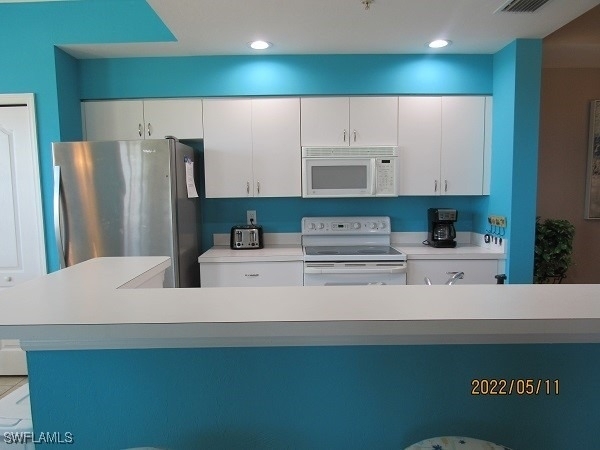 8076 Queen Palm Lane - Photo 4