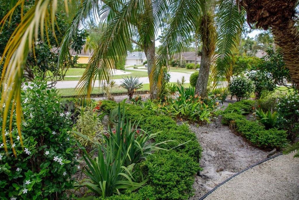 900 Cosmos Court - Photo 4