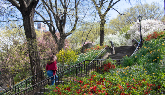 278 West 86th Street - Photo 11