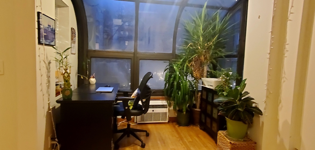 278 West 86th Street - Photo 4