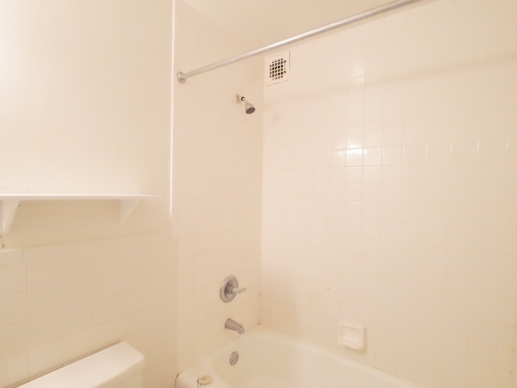 423 East 90th Street - Photo 8