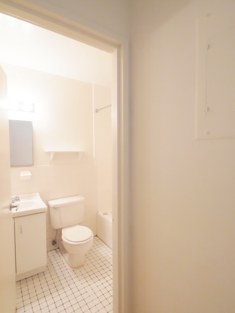 423 East 90th Street - Photo 6