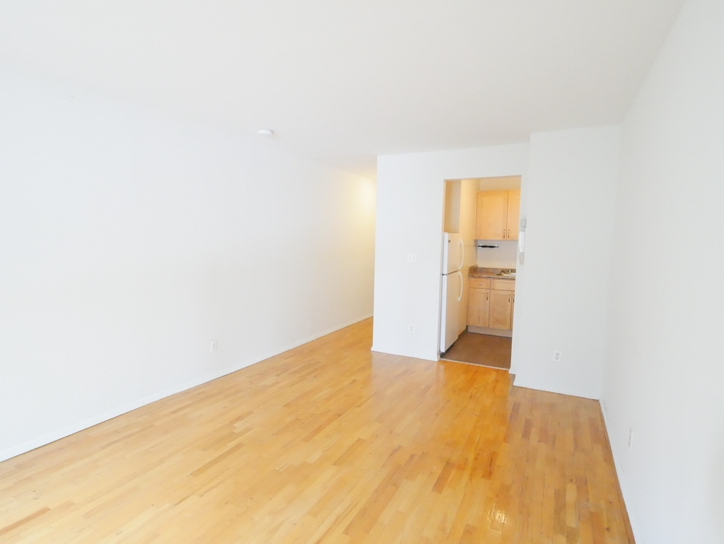 423 East 90th Street - Photo 1