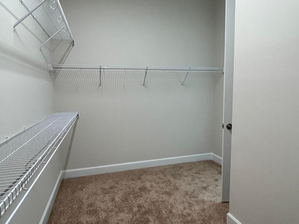 5573 Zestar Lane - Photo 17