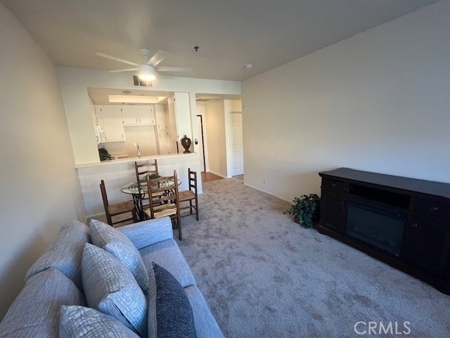 435 S. Anaheim Hills Rd - Photo 18