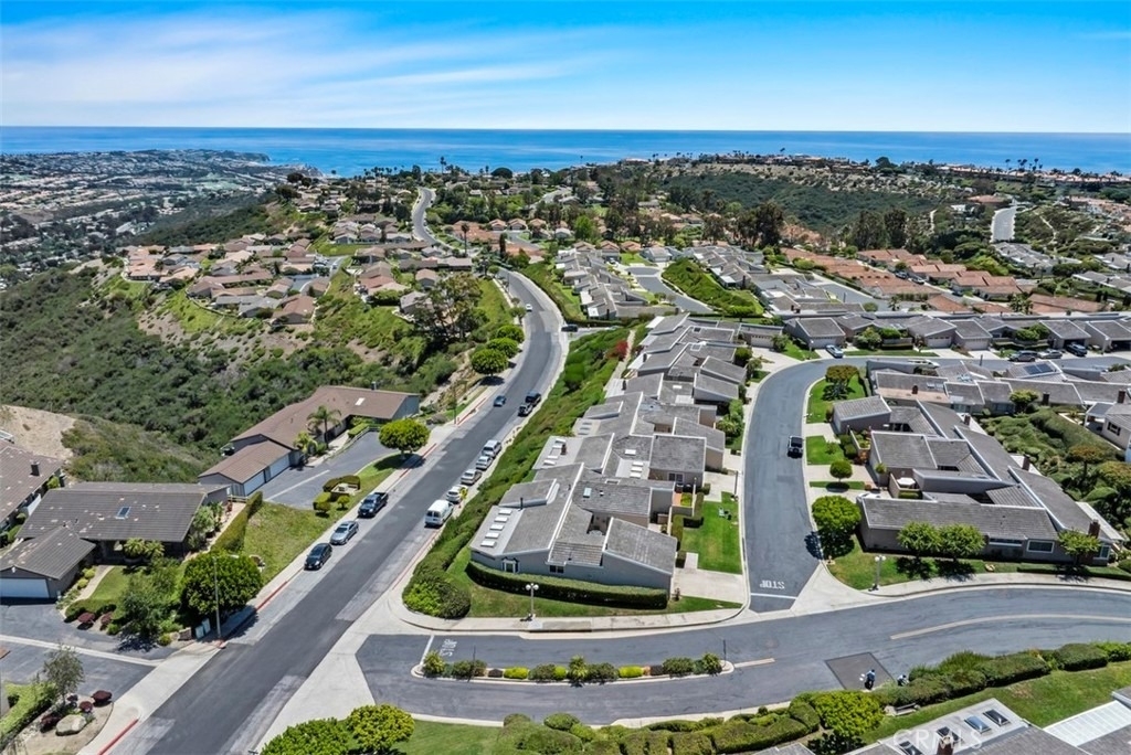 31202 Palma Drive - Photo 44