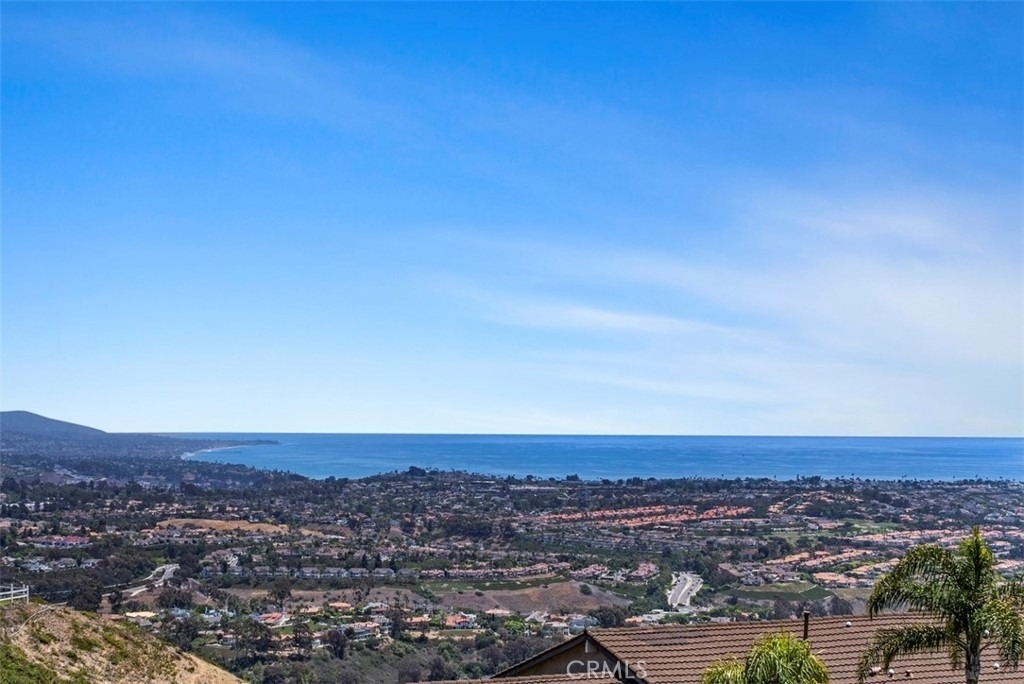 31202 Palma Drive - Photo 33