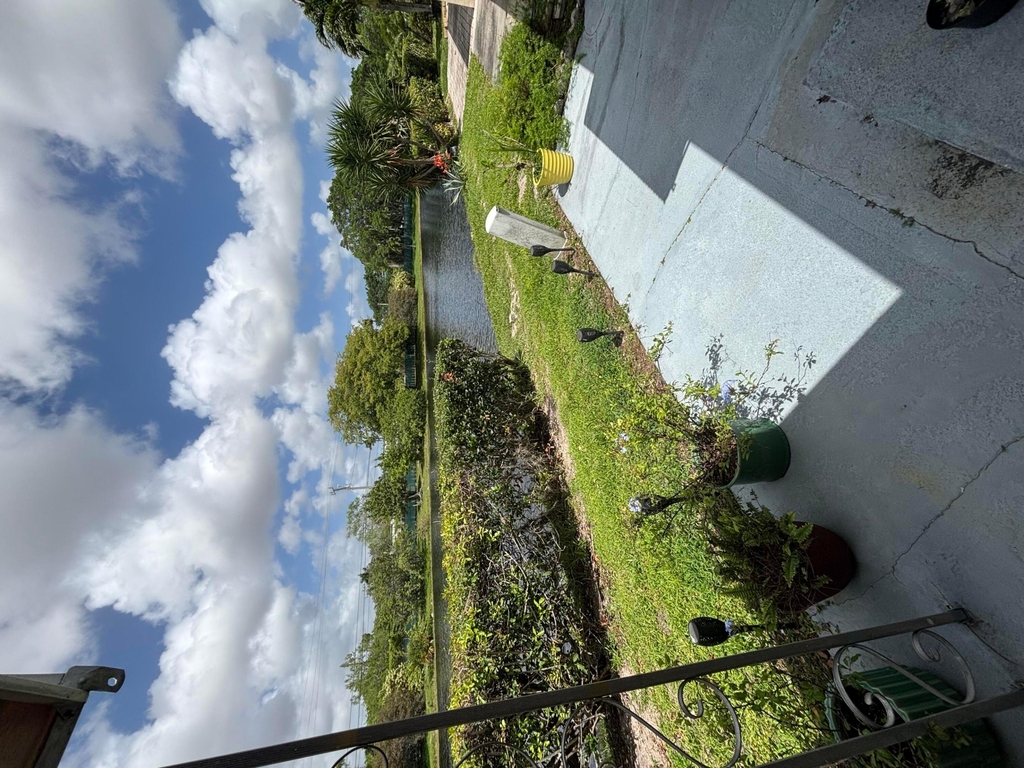 8833 Bella Vista Drive - Photo 39