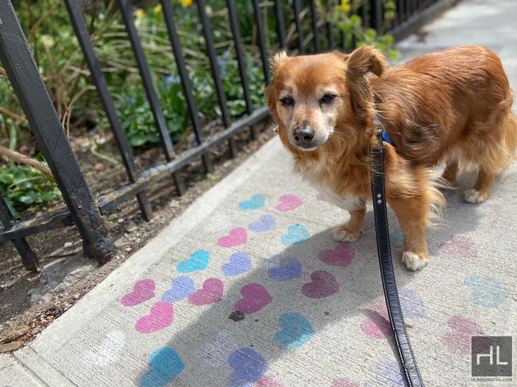 East 13th Street - Photo 16