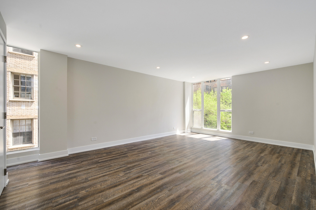 227 E Walton Place - Photo 7