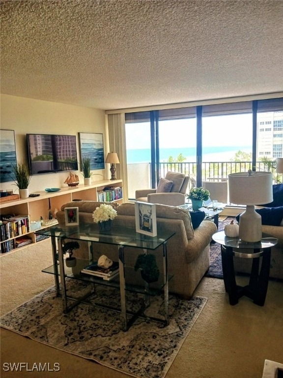 4005 Gulf Shore Boulevard N - Photo 10