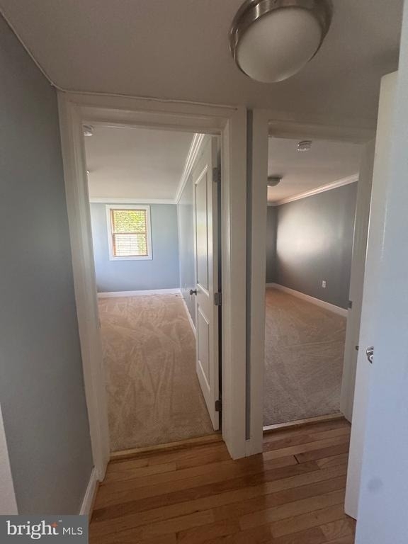 2838 Hartford Street Se - Photo 20