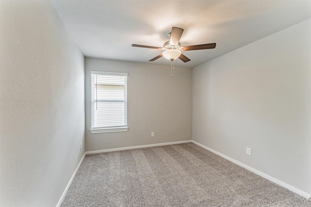 4322 Pale Fox Lane - Photo 27
