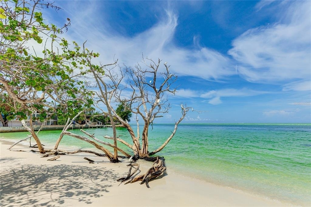 22 Sandy Cove Road - Photo 31