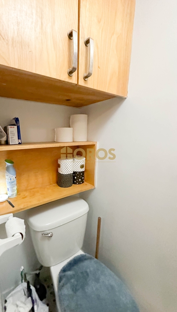 533 East 5th Street - Photo 4