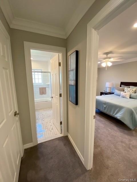 28 Williams Boulevard - Photo 11