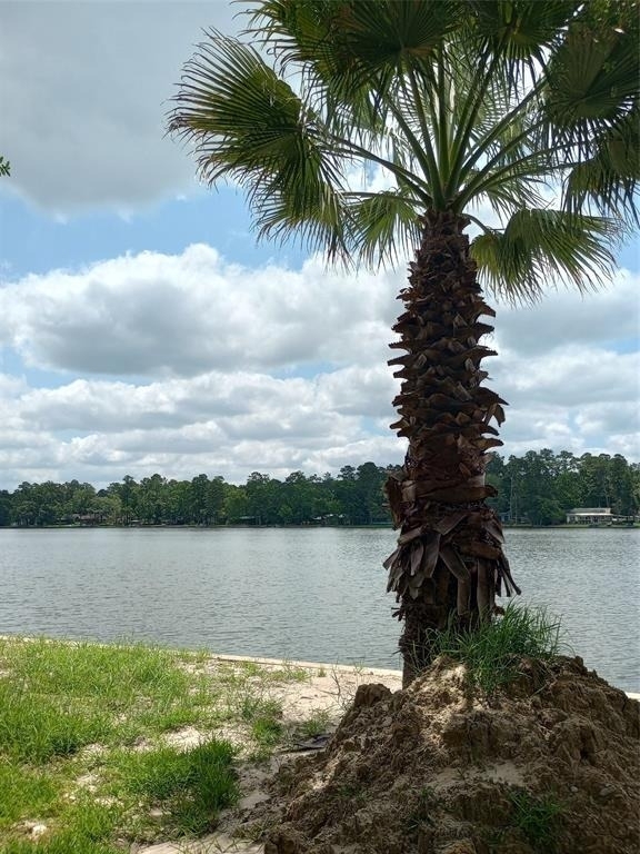13545 Northshore Loop - Photo 8