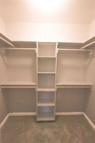 4222 Foliage Drive - Photo 11