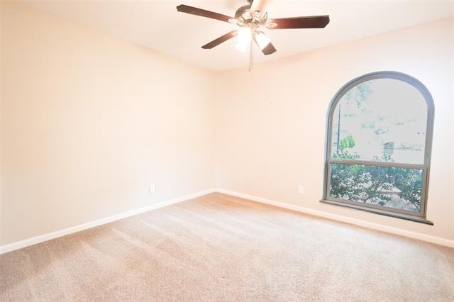 4222 Foliage Drive - Photo 7