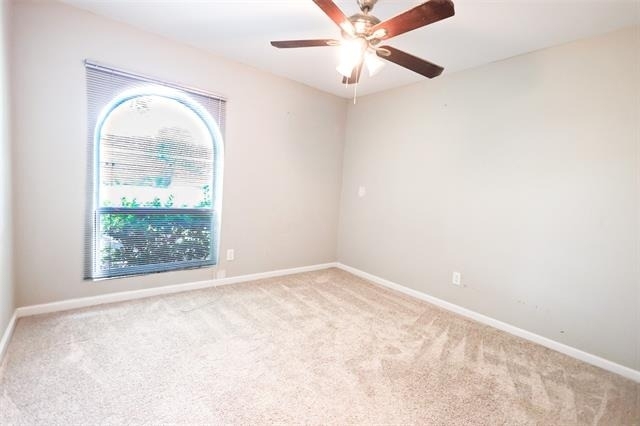 4222 Foliage Drive - Photo 12