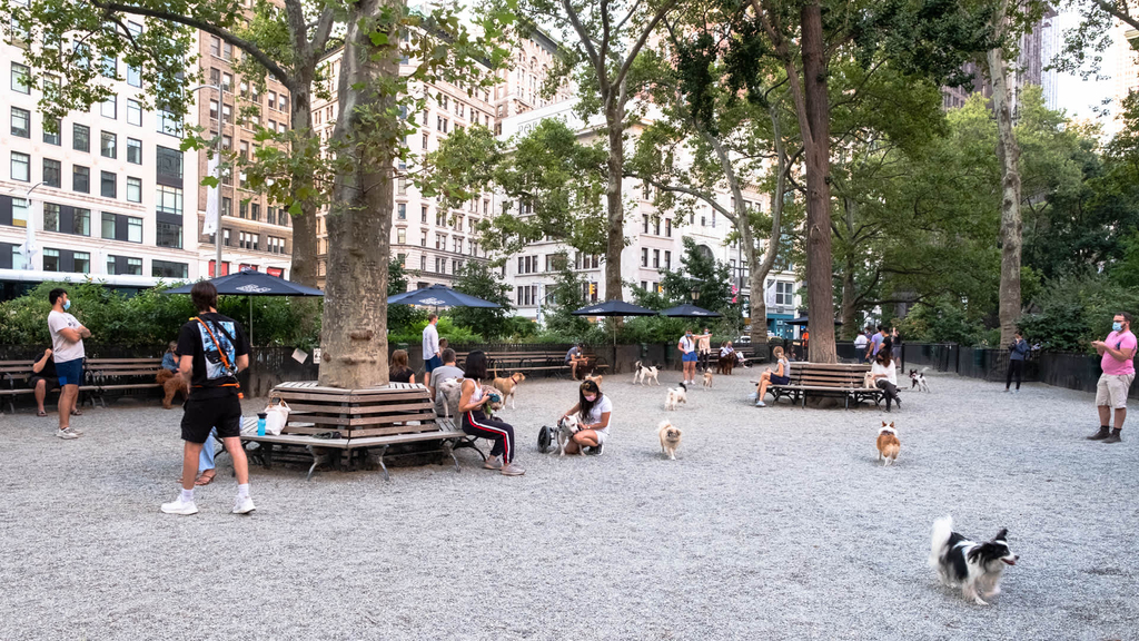 50 East 28th Street - Photo 35