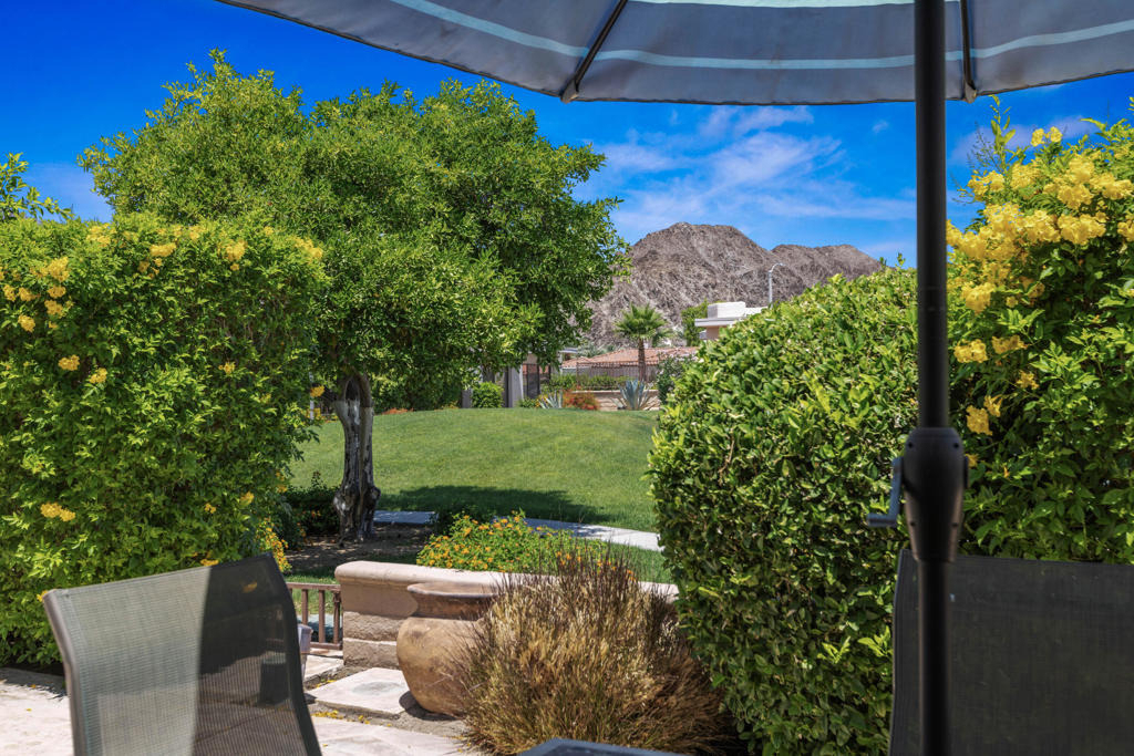 48114 Calle Seranas - Photo 31