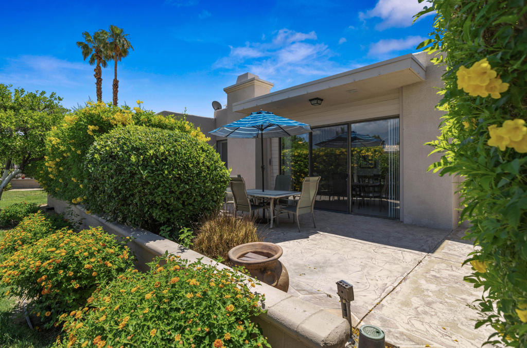 48114 Calle Seranas - Photo 33