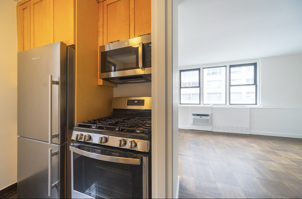 East 79th Street - Photo 3