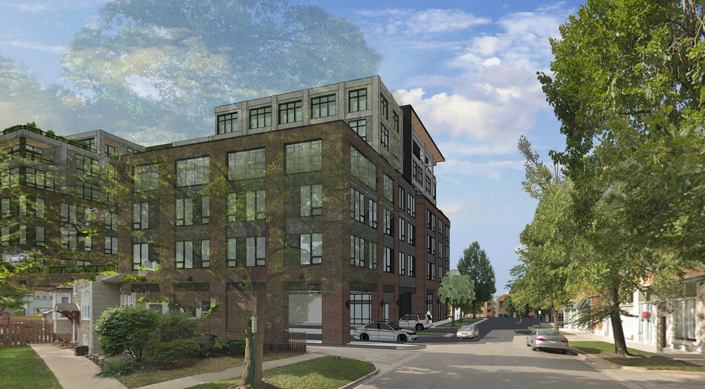 703 Madison Street - Photo 8