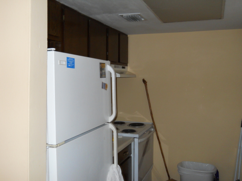 3513 Tree Ridge Lane Ne - Photo 9