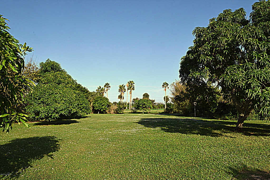 285 Utopia Circle - Photo 9