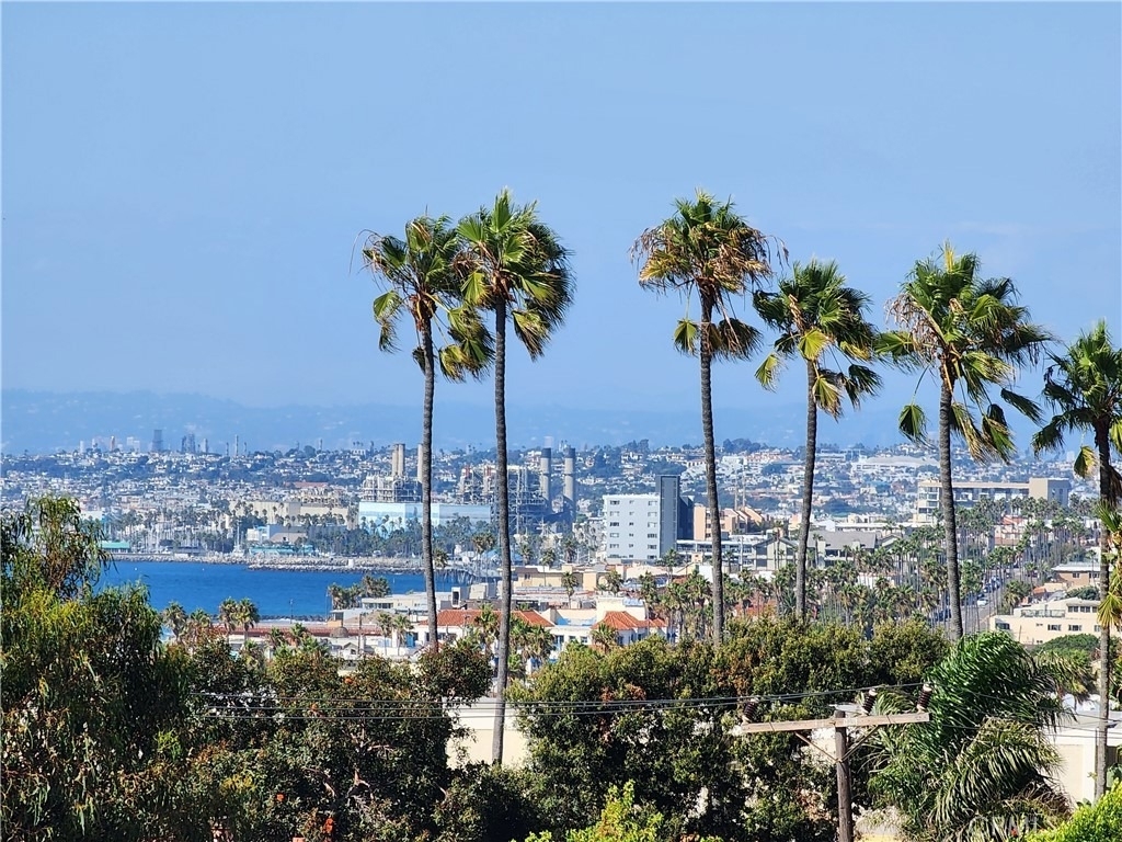 420 Palos Verdes Boulevard - Photo 3