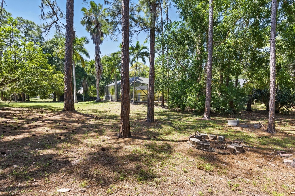 14846 61st Court N - Photo 31