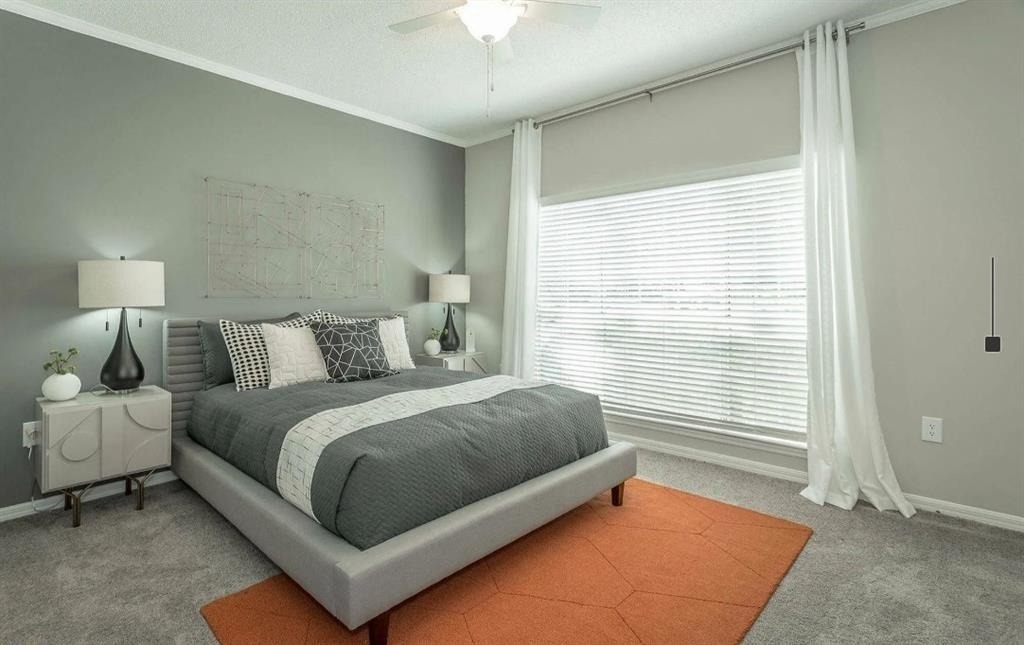 3780 Towne Crossing Road - Photo 3