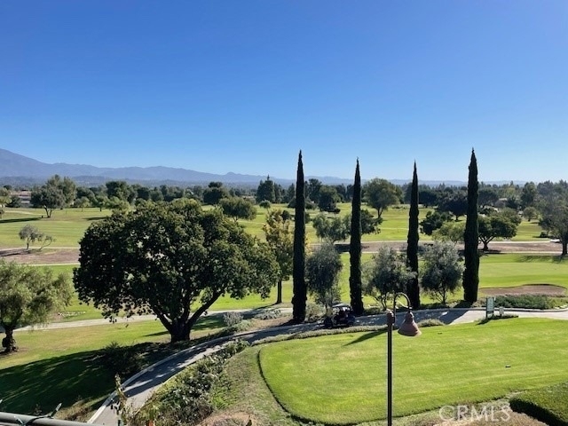 406 Avenida Castilla - Photo 12