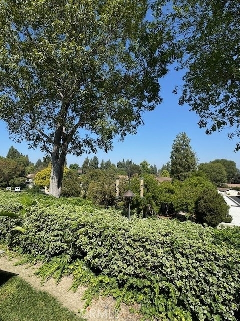 406 Avenida Castilla - Photo 8
