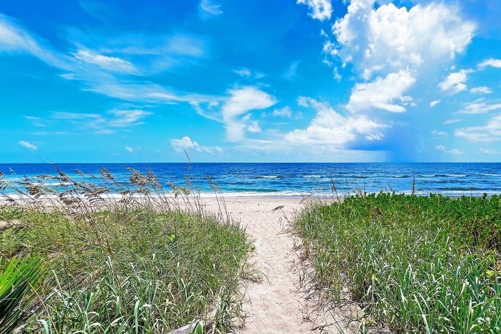 3541 Ne Ocean Boulevard - Photo 8