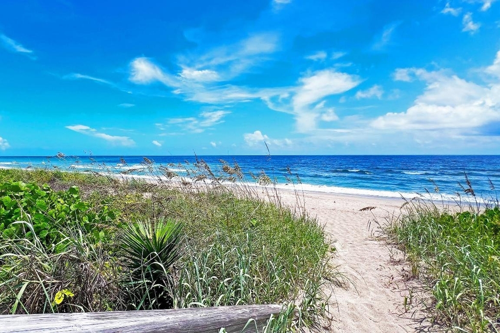 3541 Ne Ocean Boulevard - Photo 9