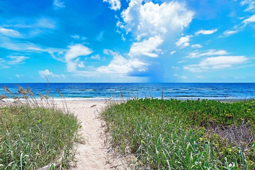 3541 Ne Ocean Boulevard - Photo 0