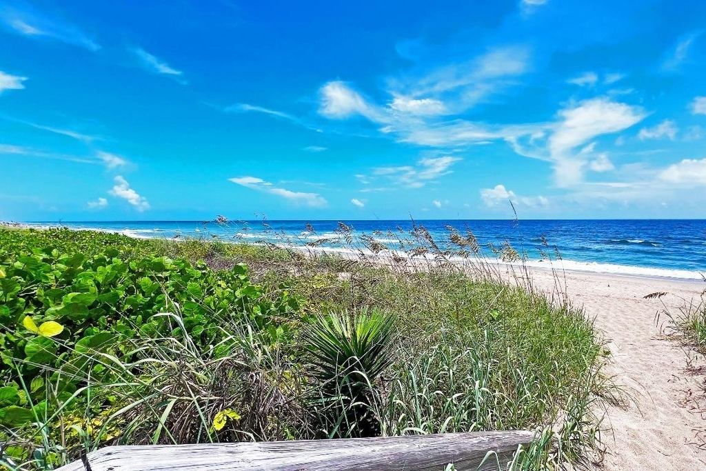 3541 Ne Ocean Boulevard - Photo 10