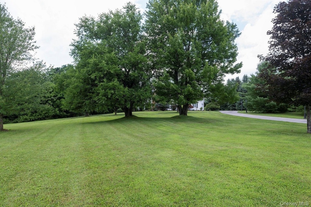209 Route 343 - Photo 4