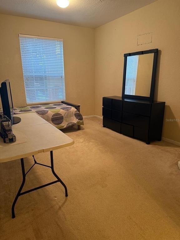6335 Contessa Drive - Photo 4