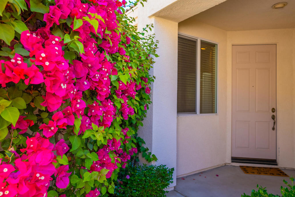 67646 S Natoma Drive - Photo 22