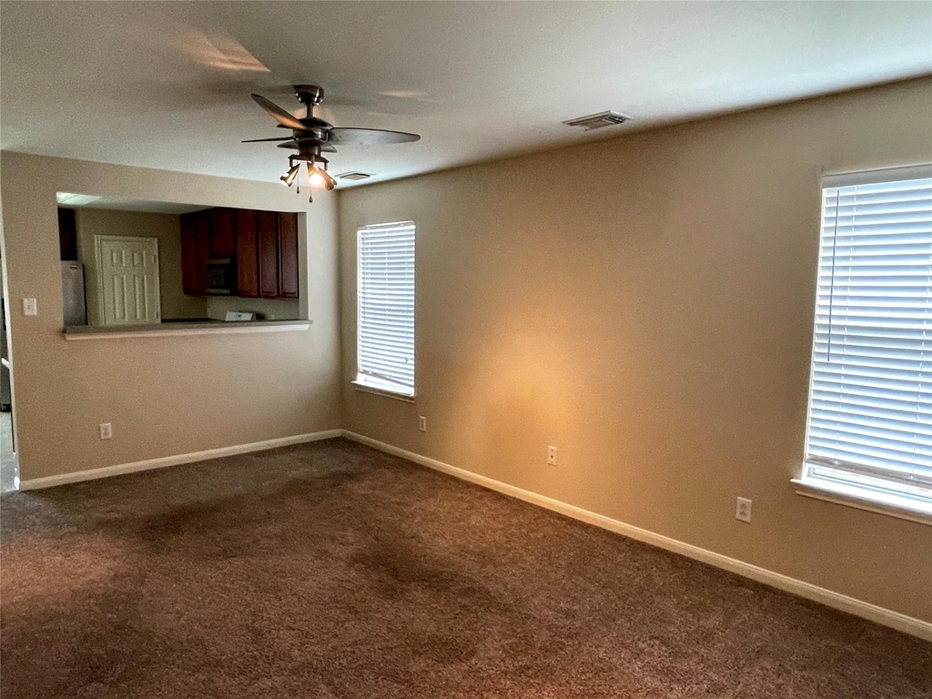 29618 Evergreen Hills Drive - Photo 3