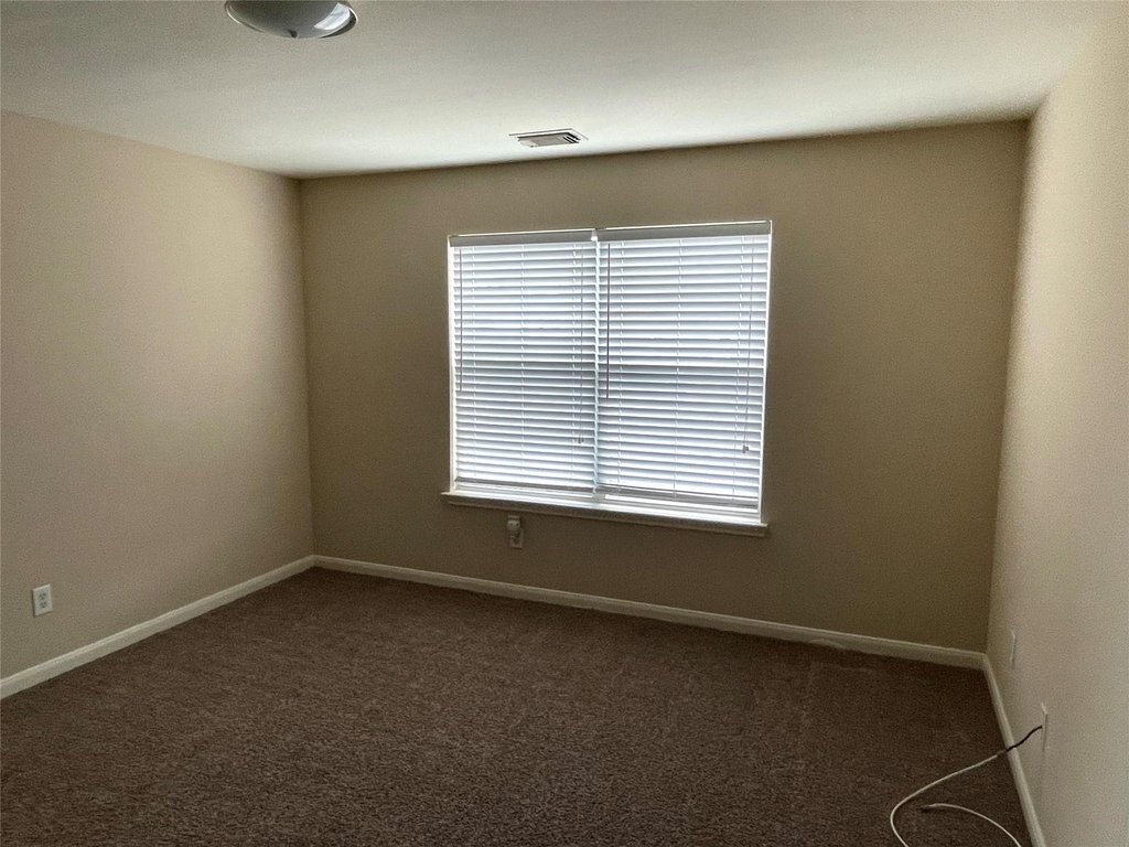 29618 Evergreen Hills Drive - Photo 10